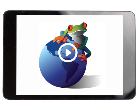 Earth Science Regents: Online Crash Course