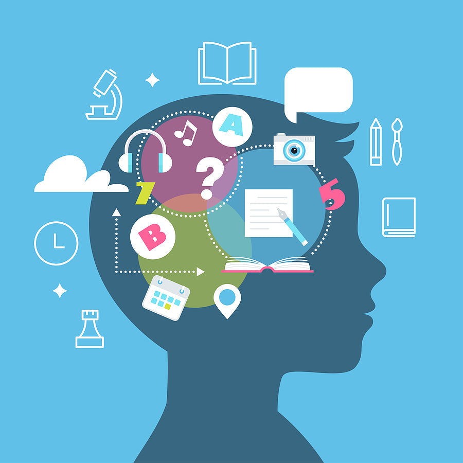 Visual Learning: See More and Learn Better 🌟 – EdBoosters